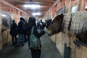 Экскурсия в парк Беремицкое